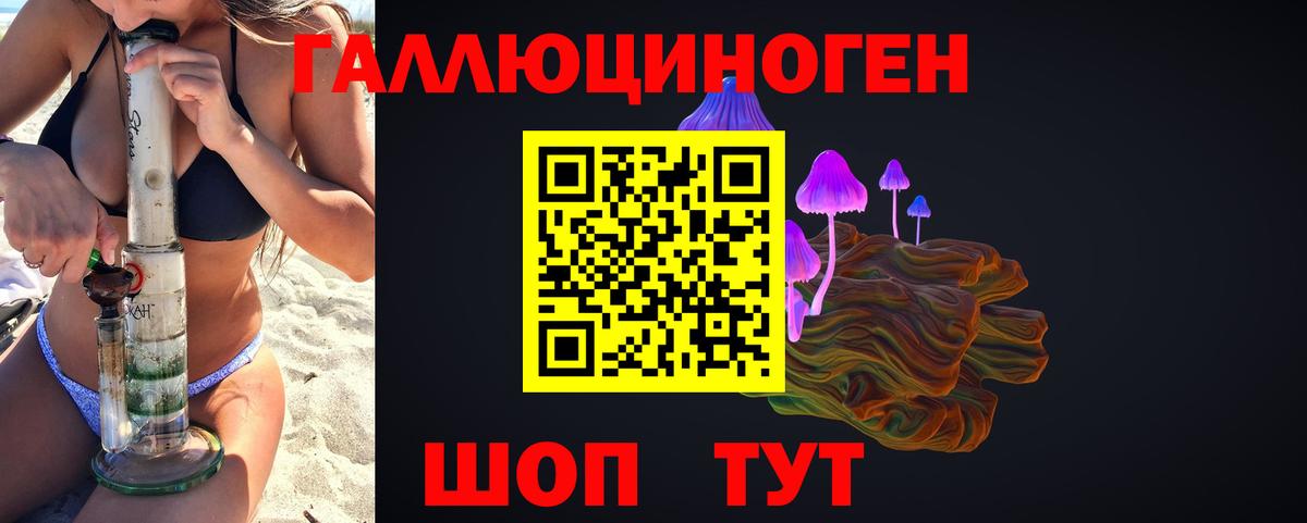 Псилоцибиновые грибы Psilocybe  Псилоцибиновые грибы Cubensis  Кропоткин  Вход с VPN 